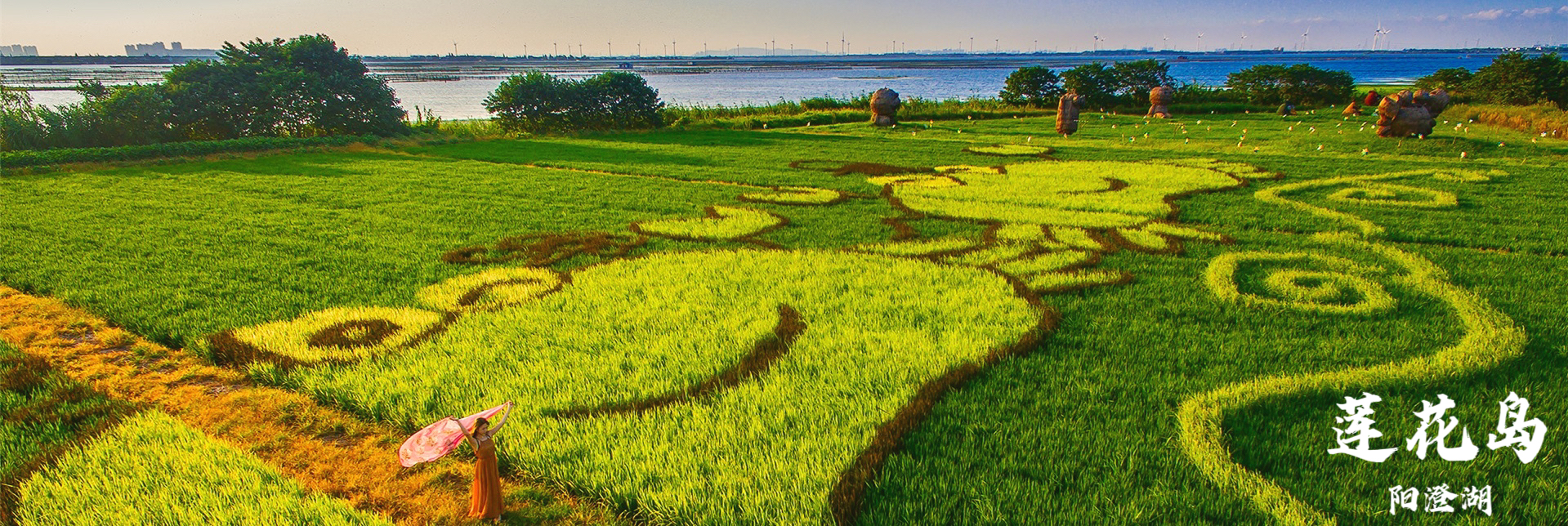 阳澄湖团建